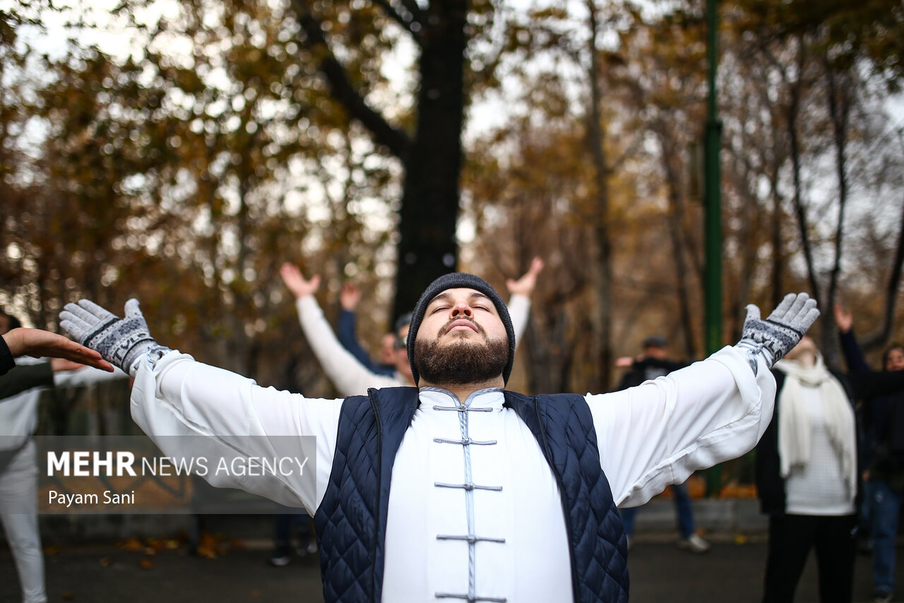 هماش تای چی