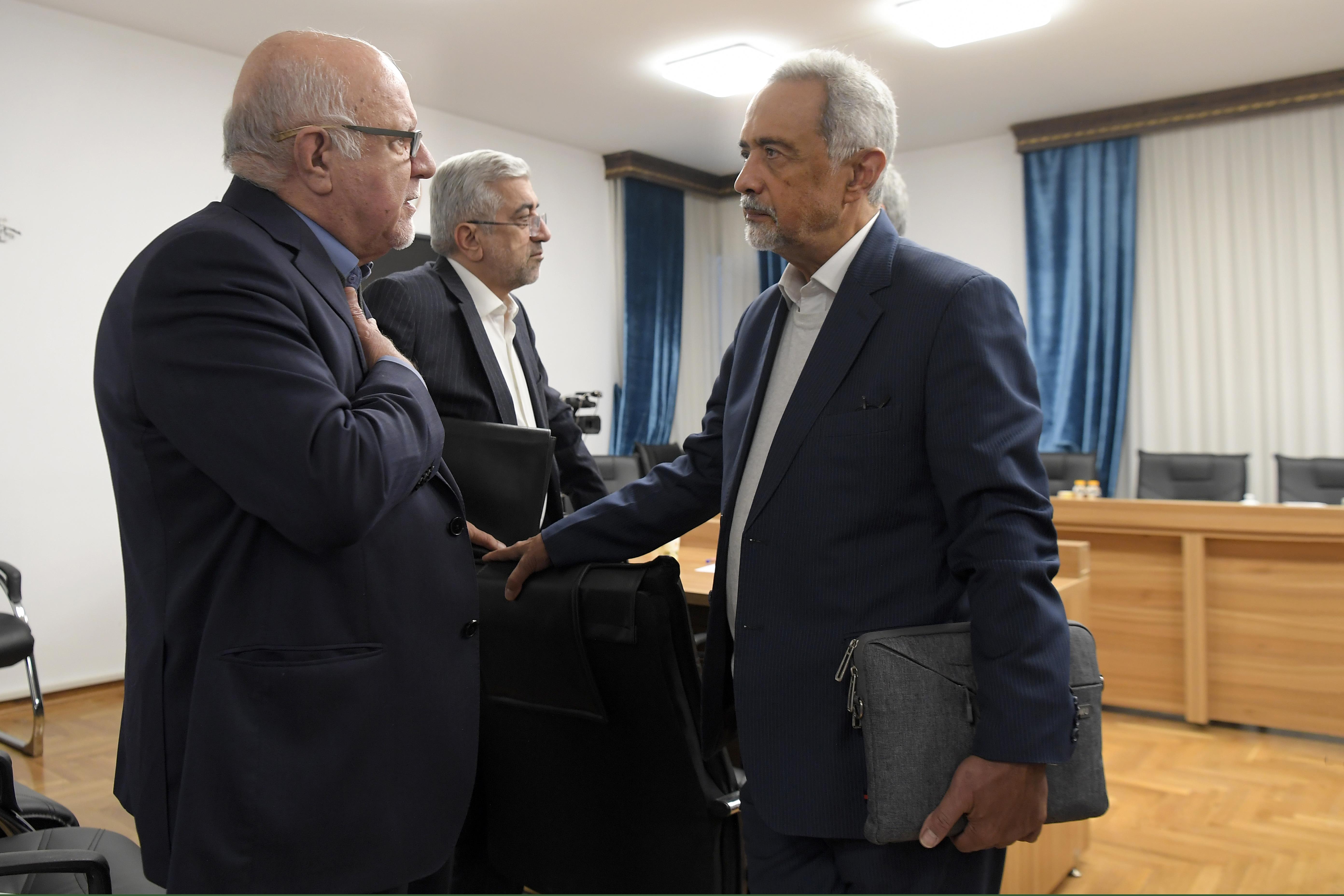 گزارش اقتصادی نهاوندیان به روحانی / معاون پزشکیان هم بود / چهره خندان جهانگیری سوژه دوربین شد + تصاویر 4