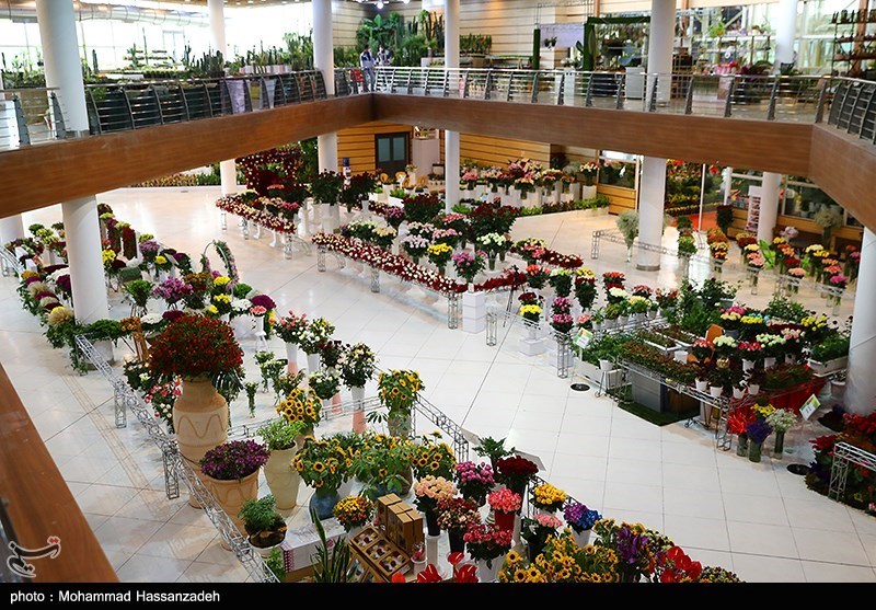 نمایشگاه گل و گیاه