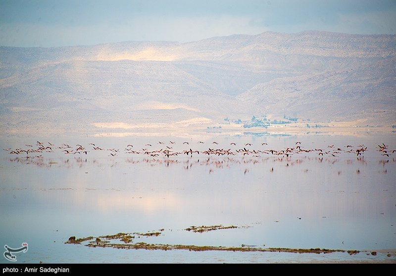 دریاچه مهارلو