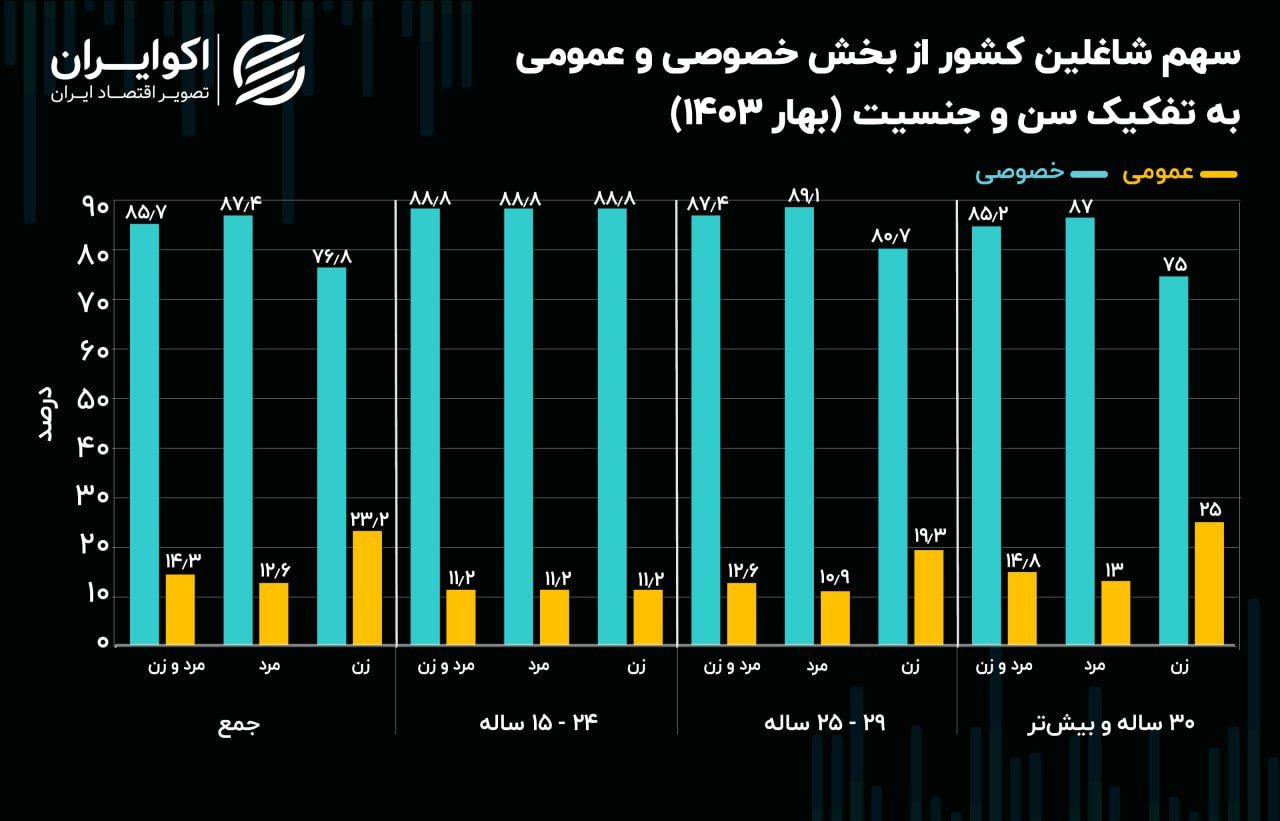 شغل دولتی؛ منطقه امن زنان / سهم بخش خصوصی از اشتغال ایران چقدر است؟+ نمودار 2