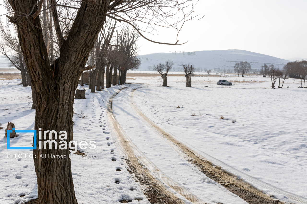 سهند سپیدپوش