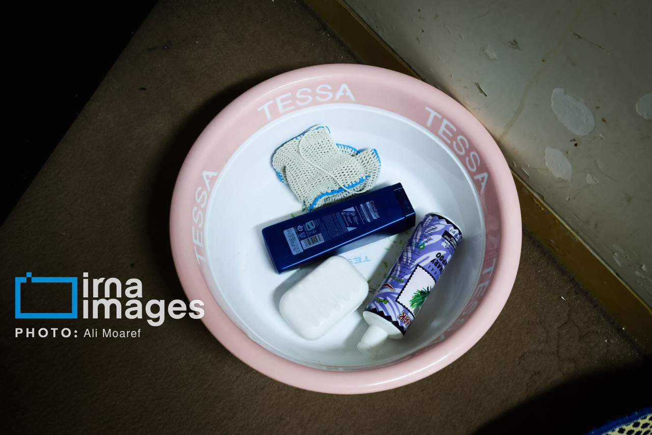 زندگی دانشجویی