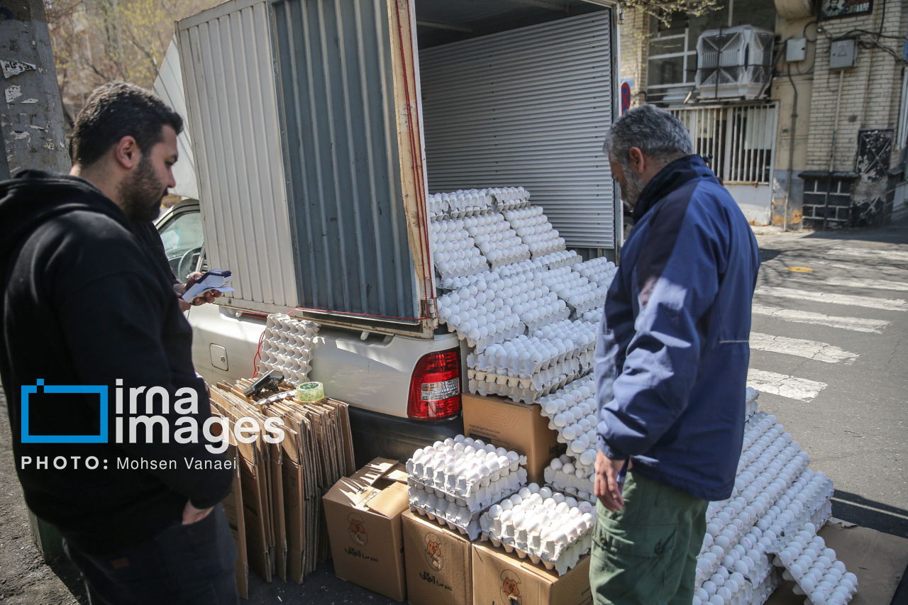 زندگی روزمره