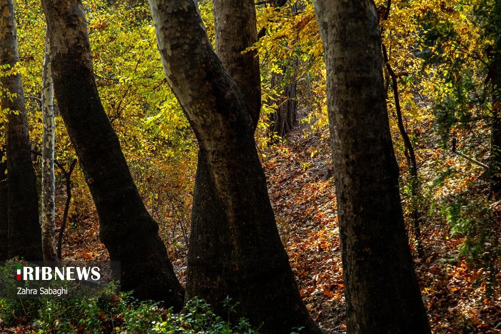 تصاویر | تهران چشم انتظار باران 8