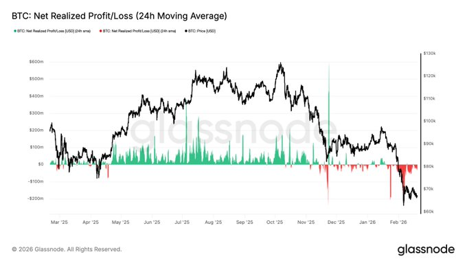 image_2026-02-23_13-33-20