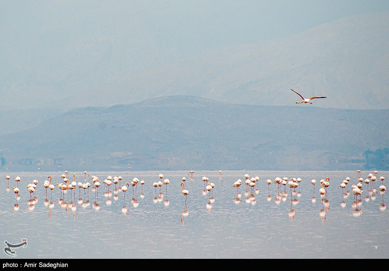 دریاچه مهارلو