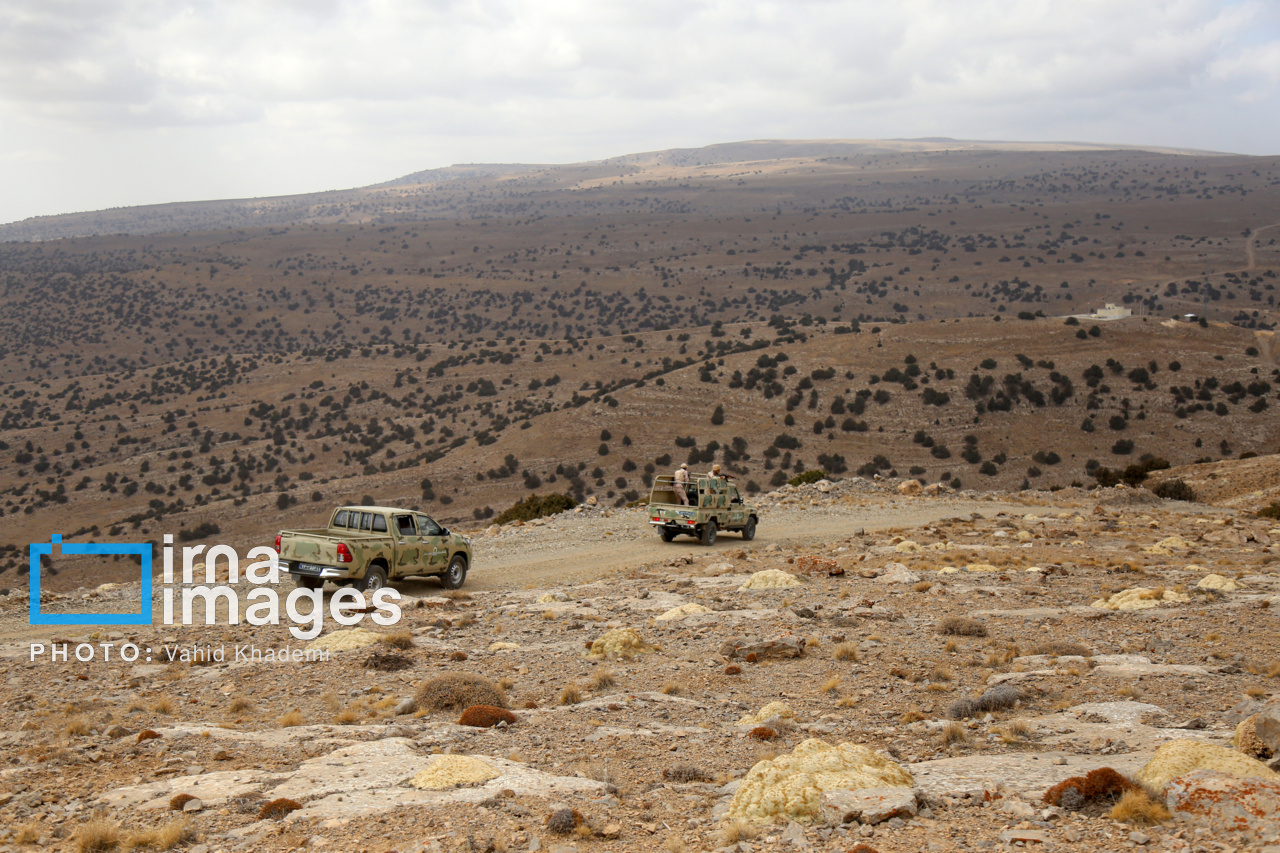 مرزبان