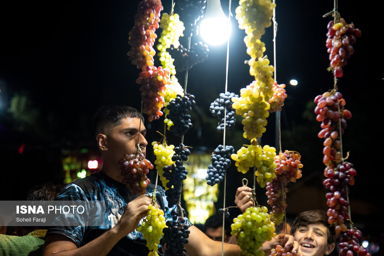 جشنواره انگور 
