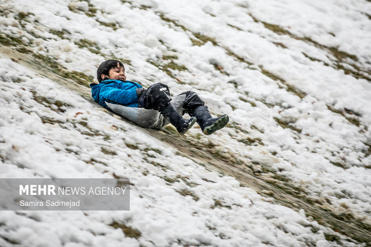 بارش برف در تهران