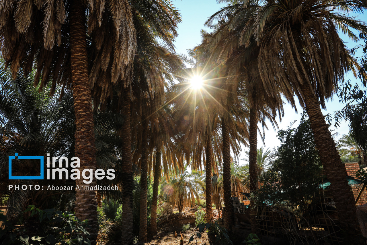 بهترین روستای گردشگری