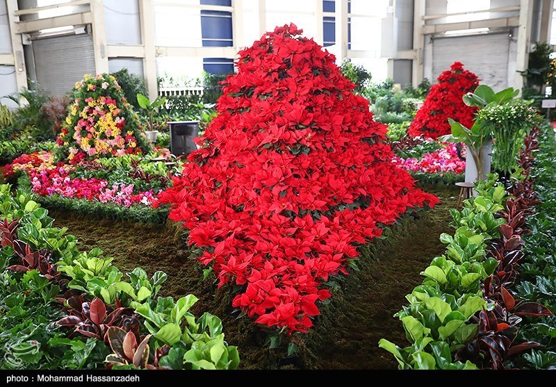 نمایشگاه گل و گیاه