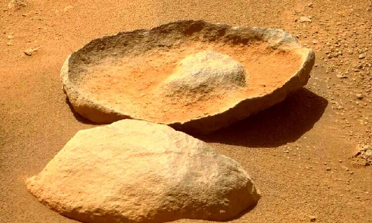 پیدا شدن آواکادو در مریخ! | شگفتی‌های سیاره سرخ تمامی ندارد