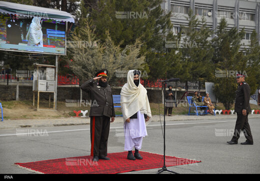 حقانی
