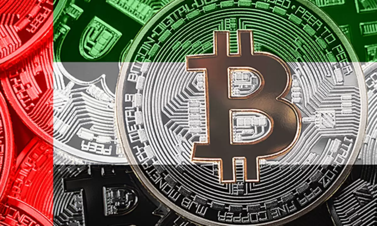 image_2026-02-18_20-51-05