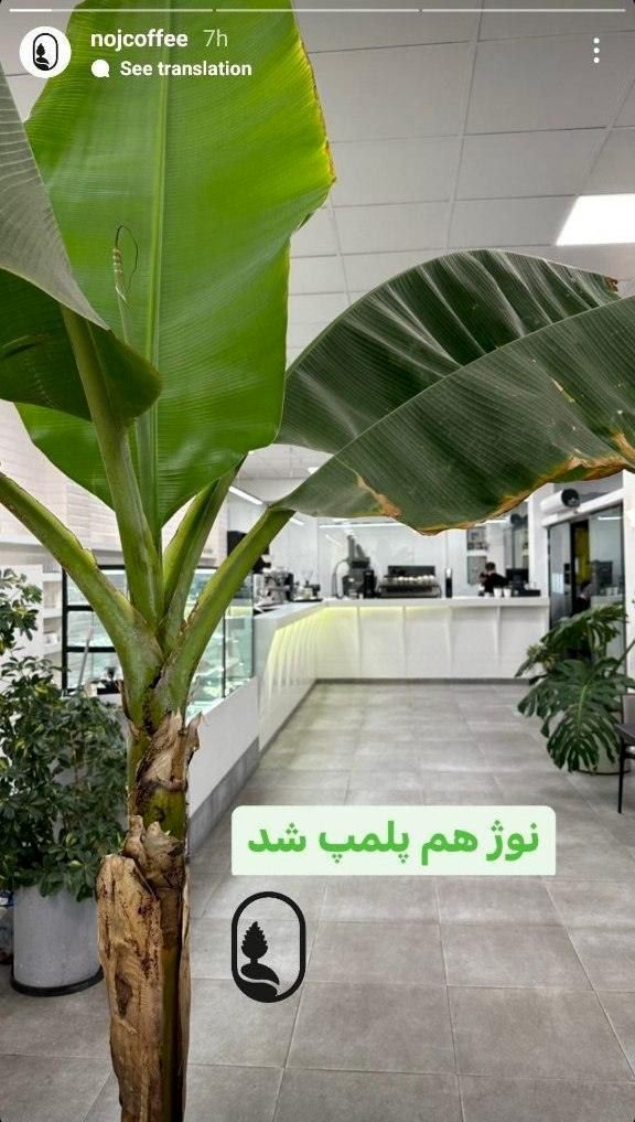 کافه نواب ابراهیمی آشپز اینستاگرامی کافه