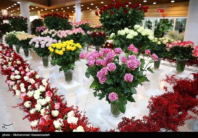 نمایشگاه گل و گیاه