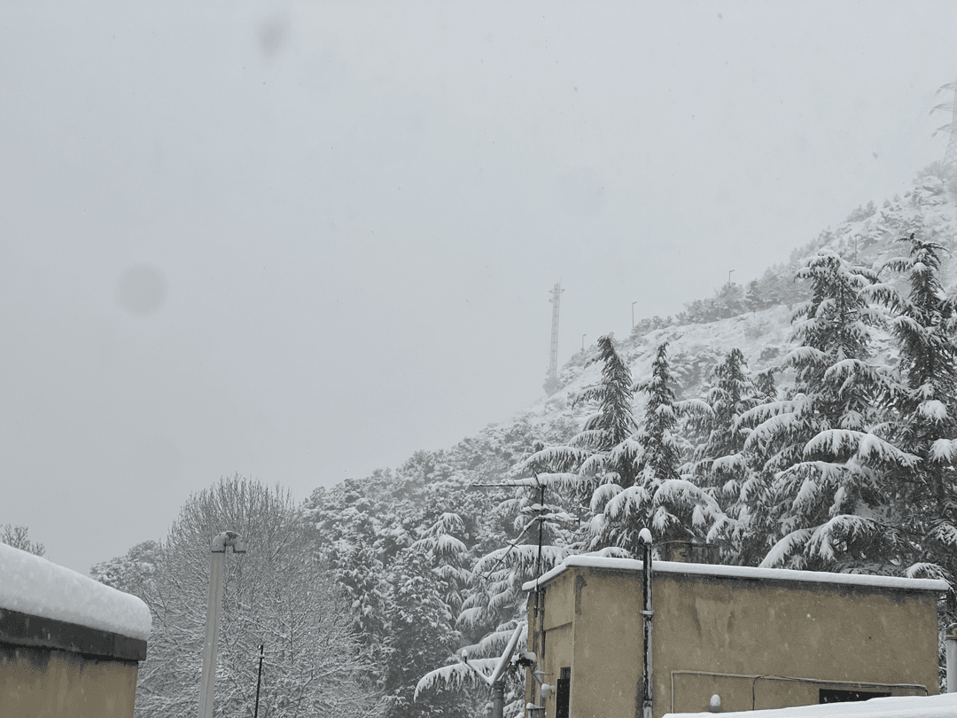 f33b48893e944d8db989342c89935381