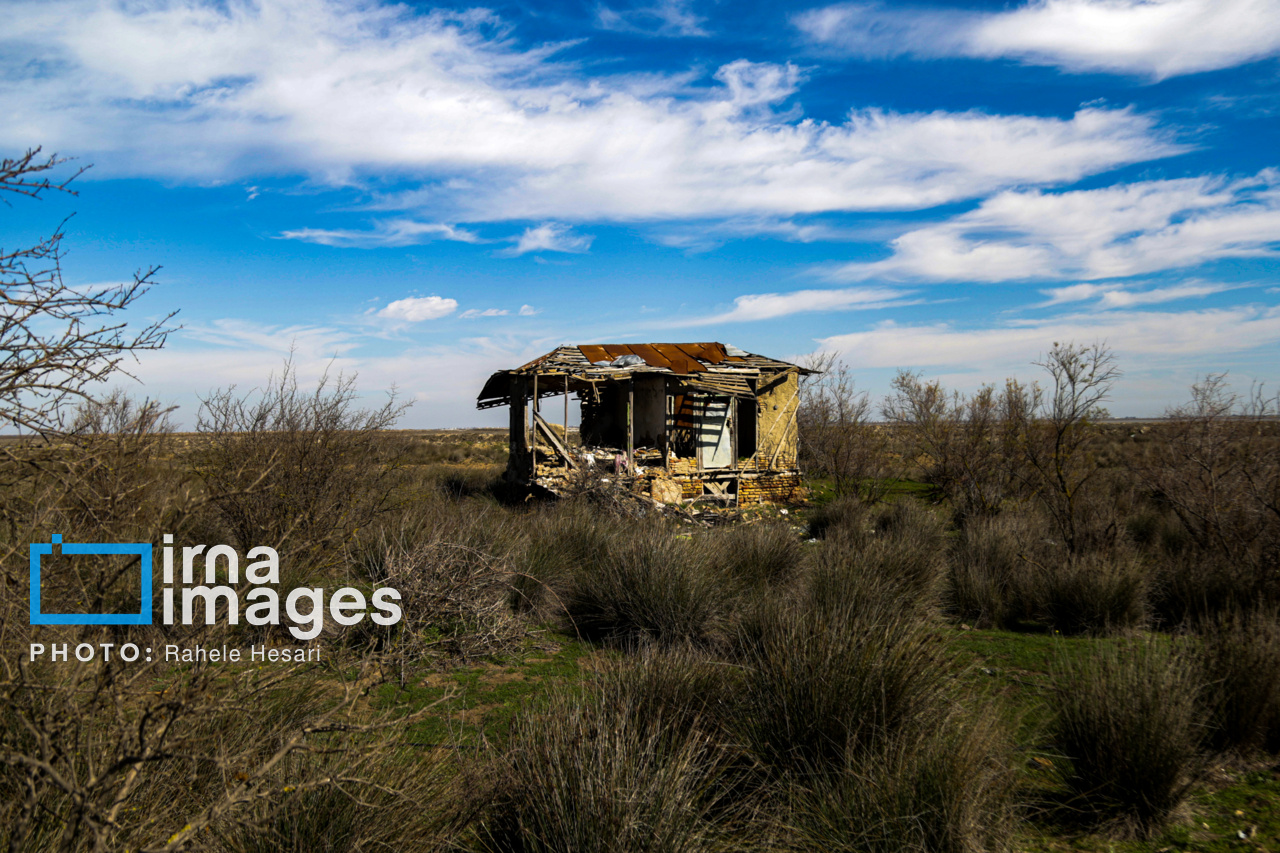 جزیره آشوراده