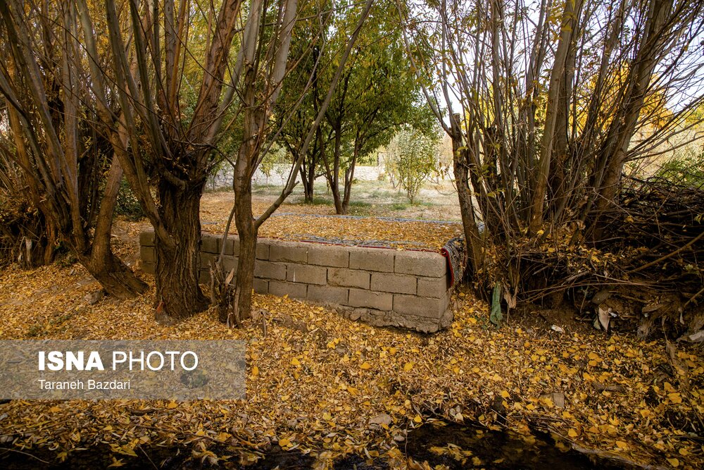 پاییز