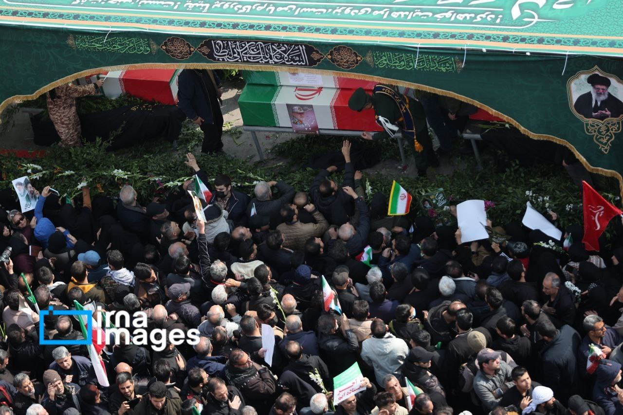 photo_4_2026-03-11_16-24-00