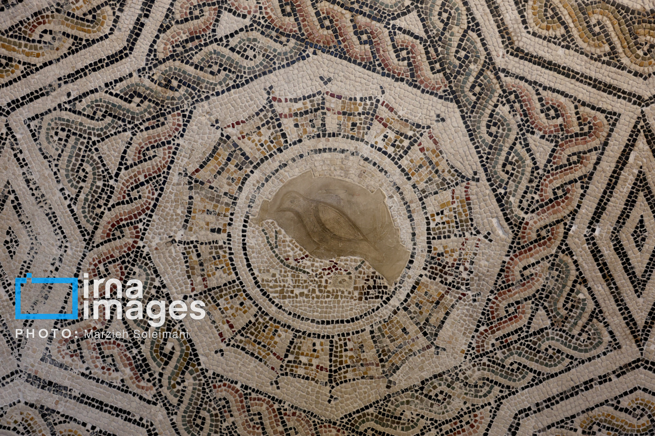 موزه ملی باردو