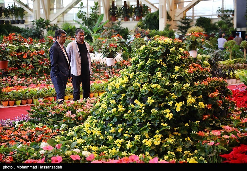 نمایشگاه گل و گیاه
