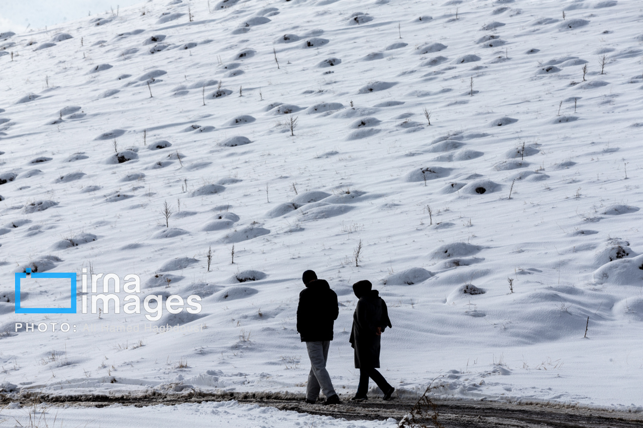 سهند سپیدپوش