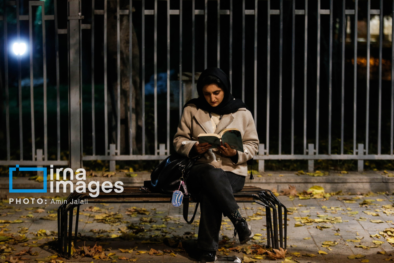 نیمکت های تهران