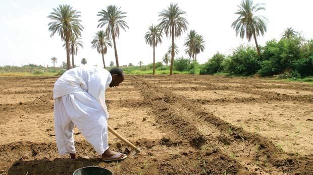 اقدام جدید بن سلمان که جهان را سورپرایز کرد