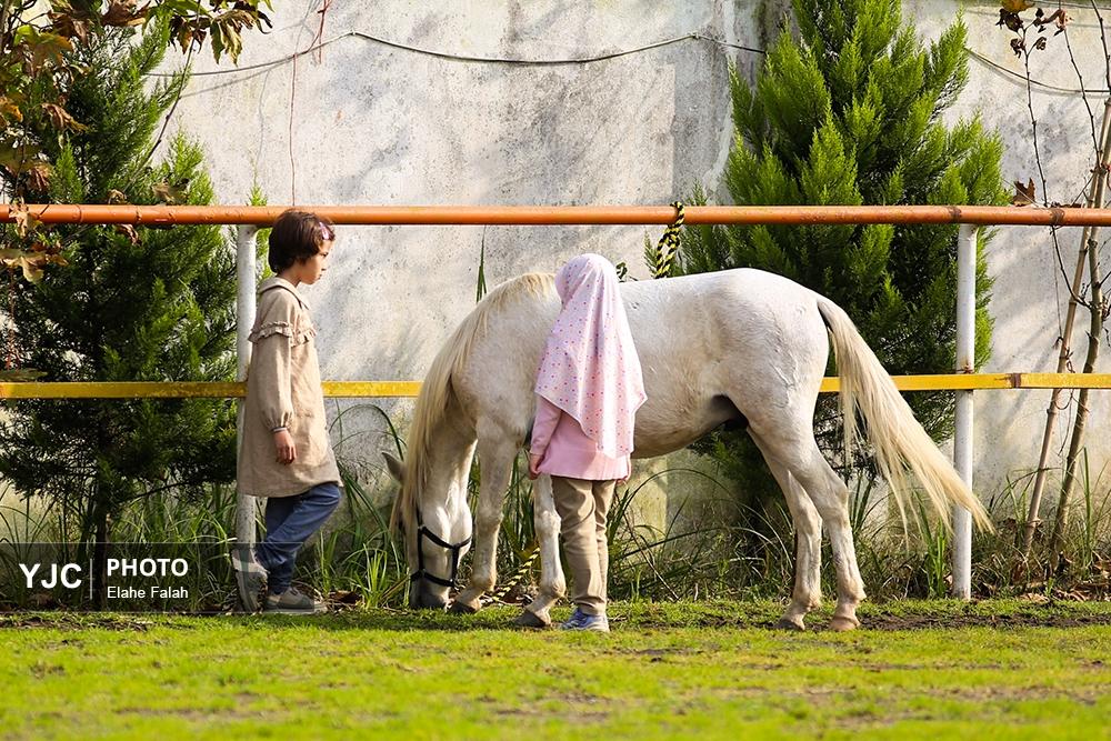 اسب نژاد کاسپین