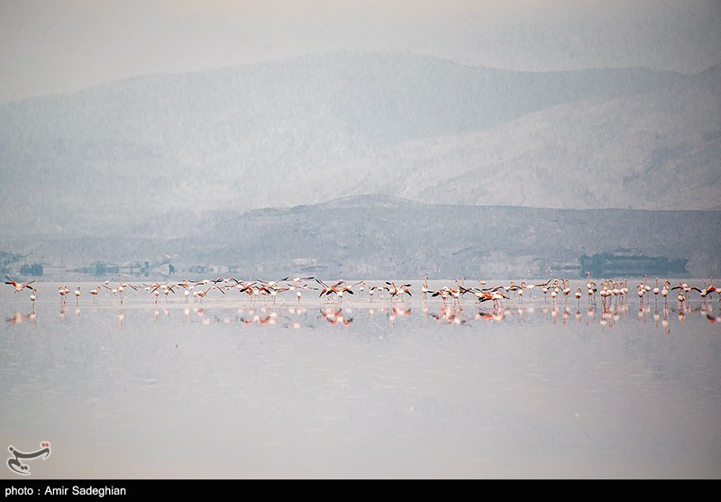 دریاچه مهارلو