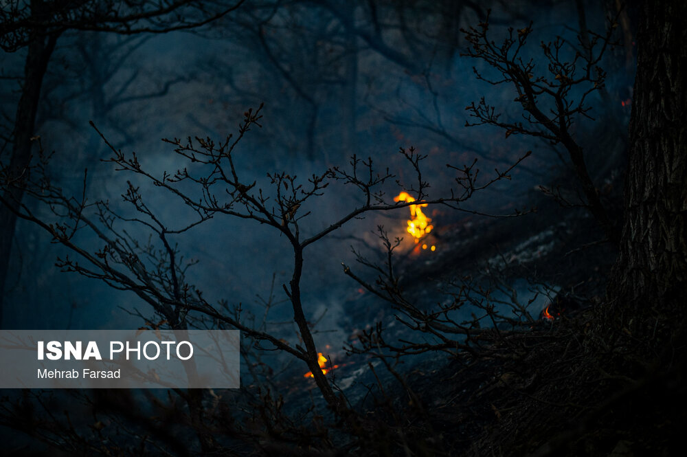 تصاویر | نبرد الیت با شعله‌ها 11