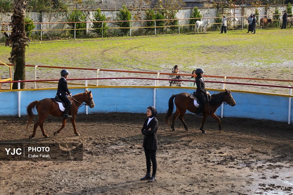 اسب نژاد کاسپین