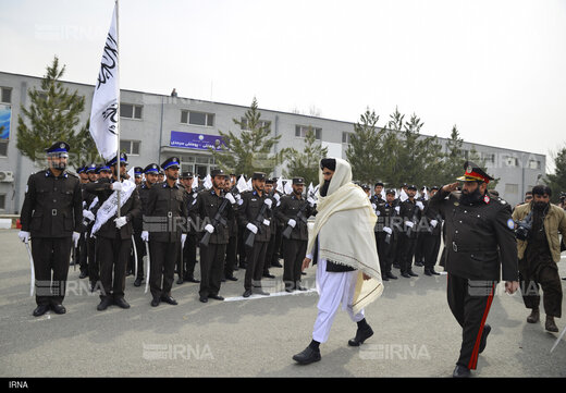 حقانی