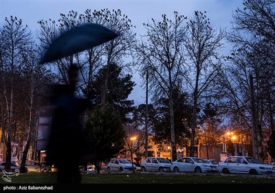 کلاغ ها در خرم آباد