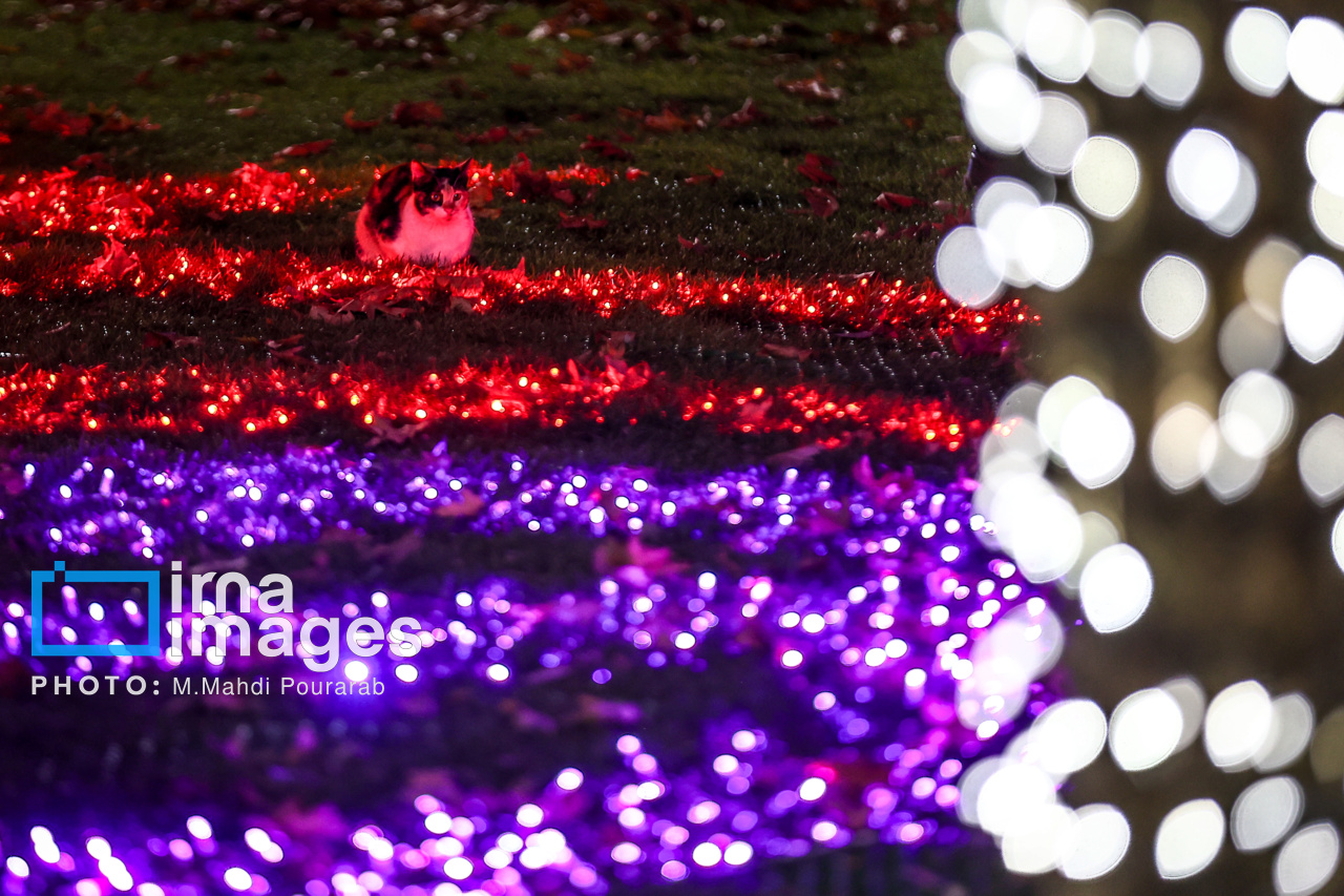 جشنواره نور