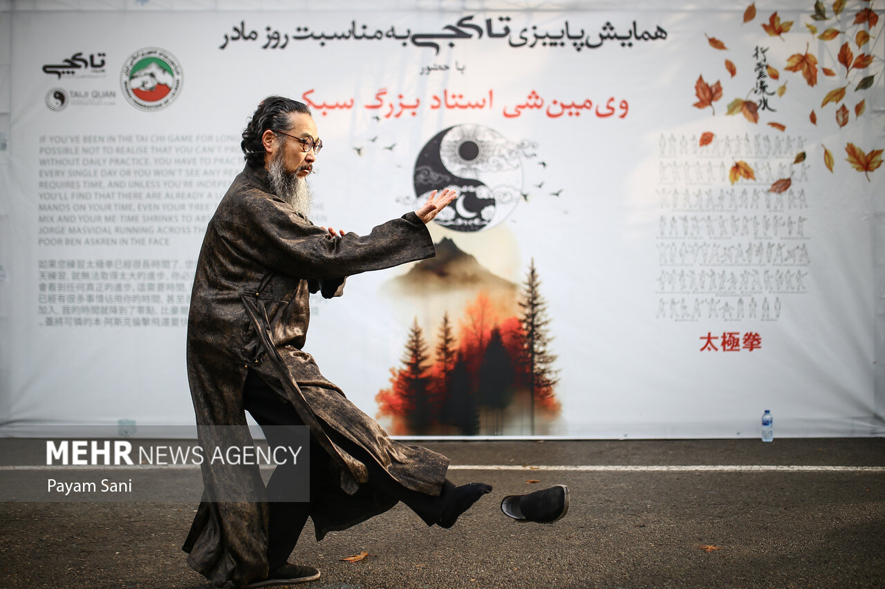 هماش تای چی