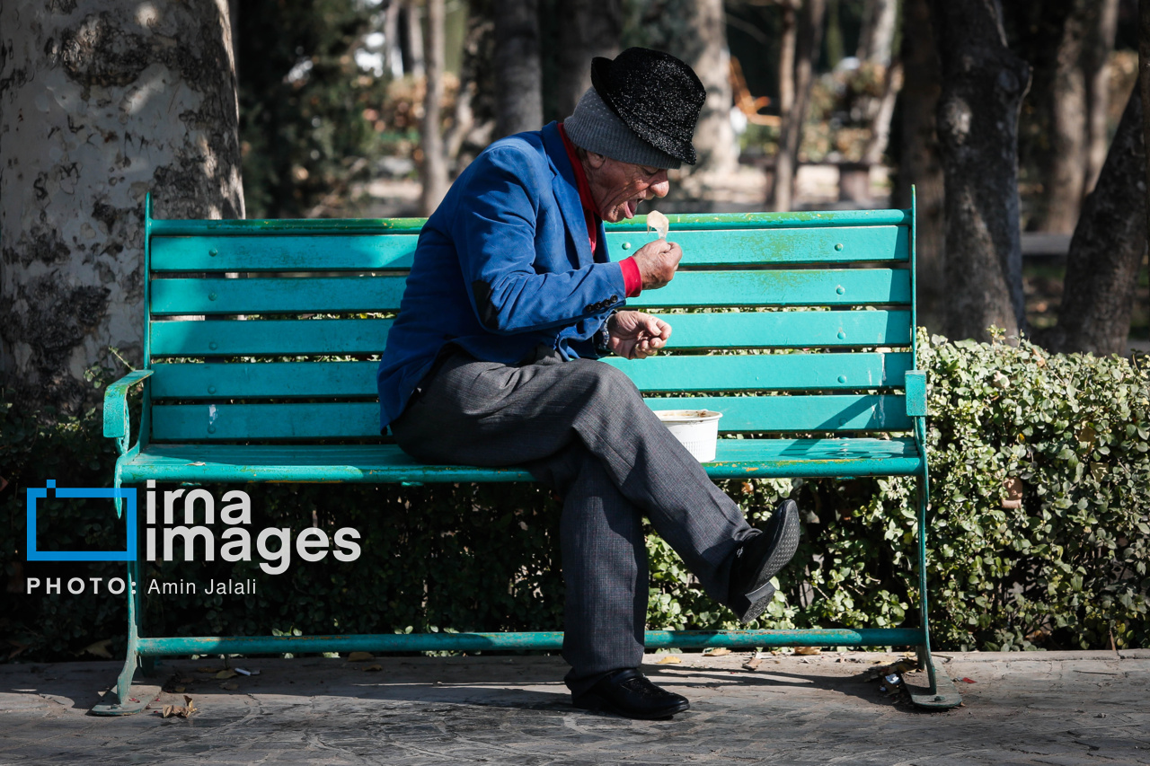 نیمکت های تهران