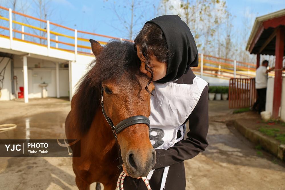 اسب نژاد کاسپین