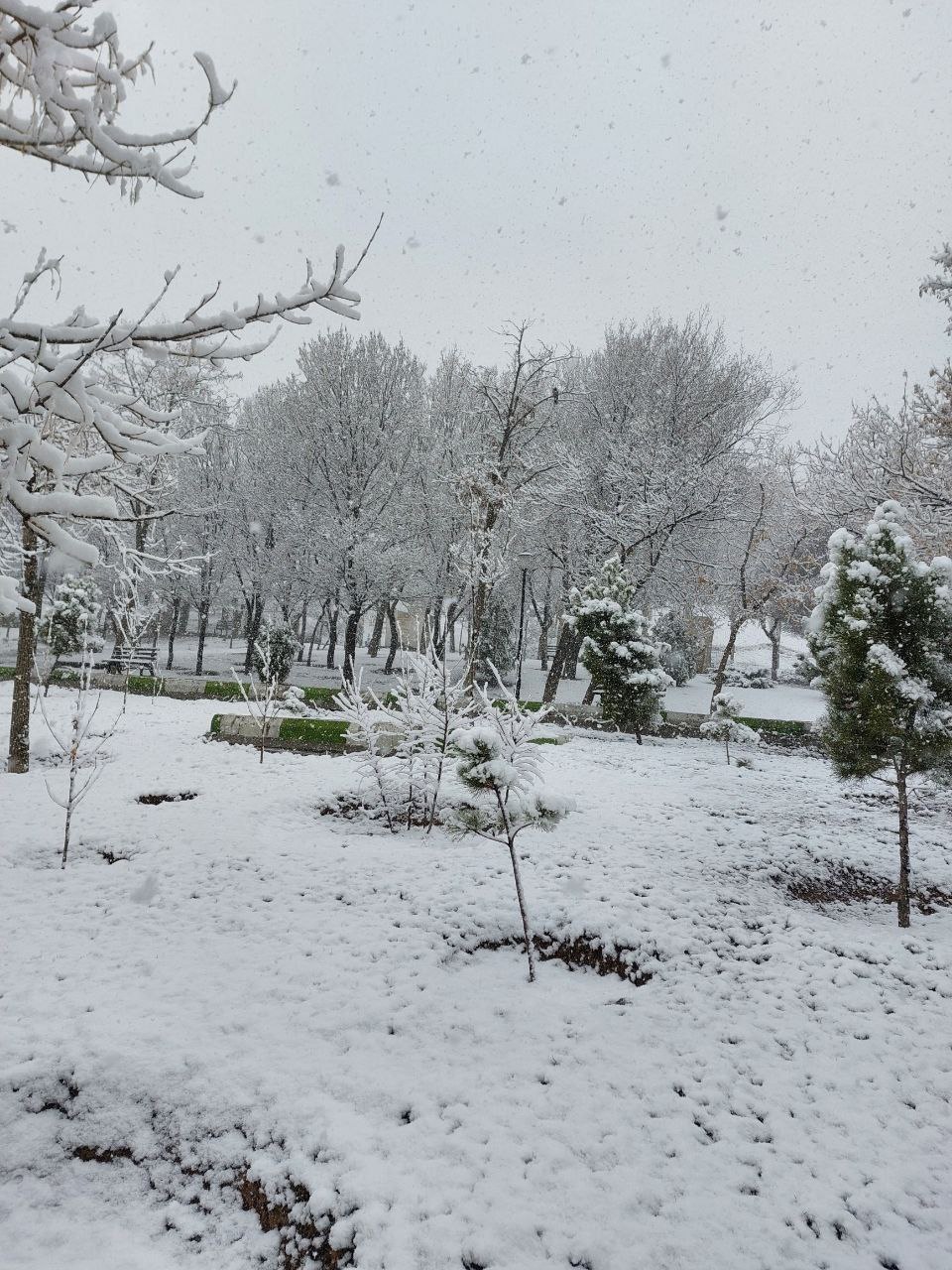 IMG_20260227_161210_318