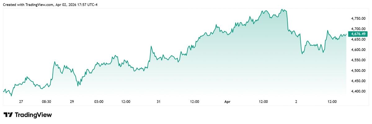 photo_2026-04-04_22-53-15
