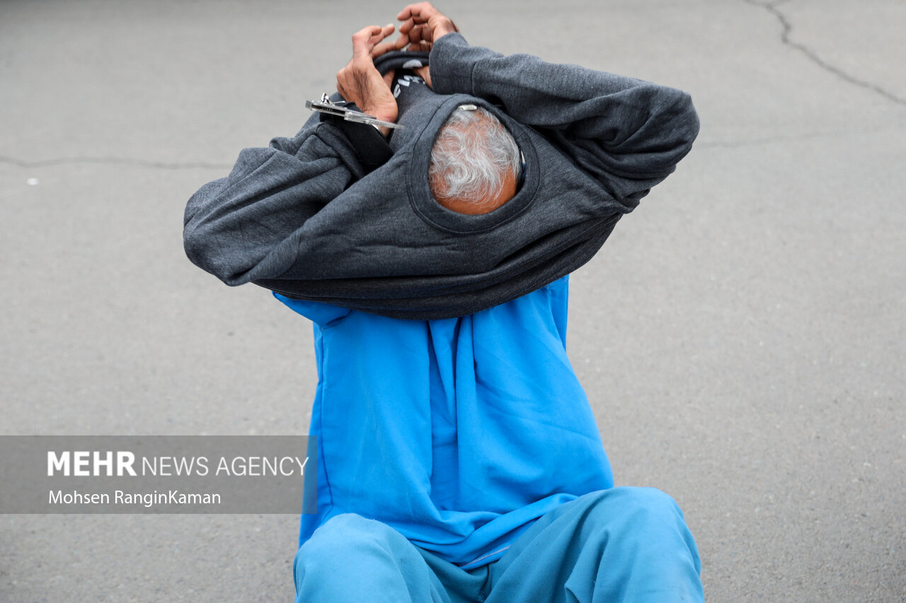 دستگیری سارقان