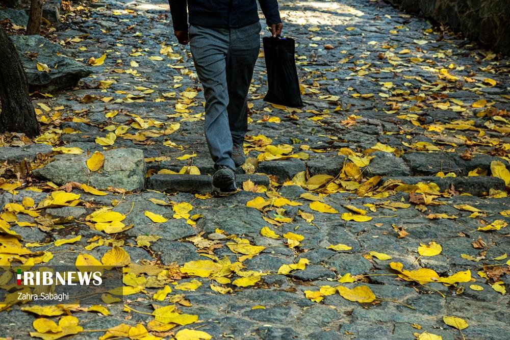 تصاویر | تهران چشم انتظار باران 7