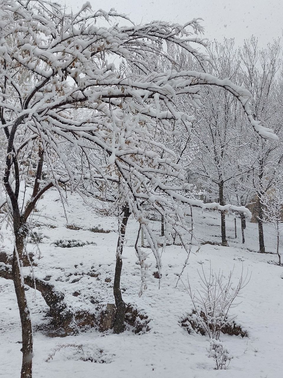 IMG_20260227_161211_208