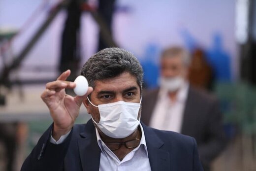 انتخابات