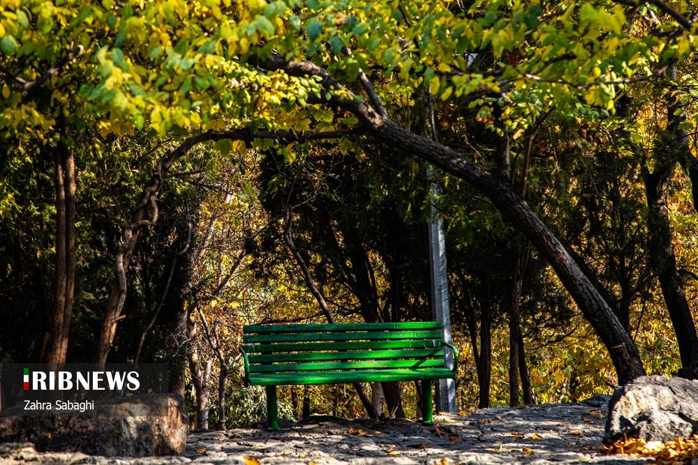 تصاویر | تهران چشم انتظار باران 6