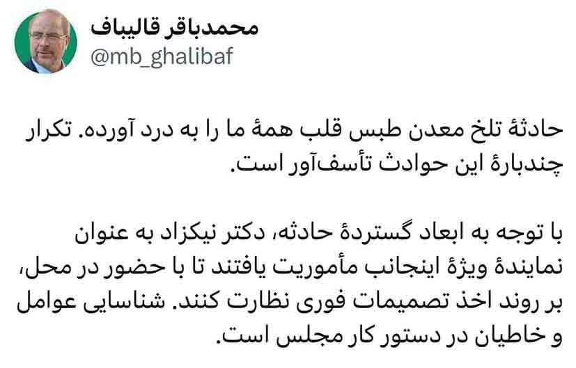 قالیباف خبر داد: شناسایی خاطیان حادثه معدن در دستور کار مجلس / نیکزاد نماینده ویژه شد + عکس 2