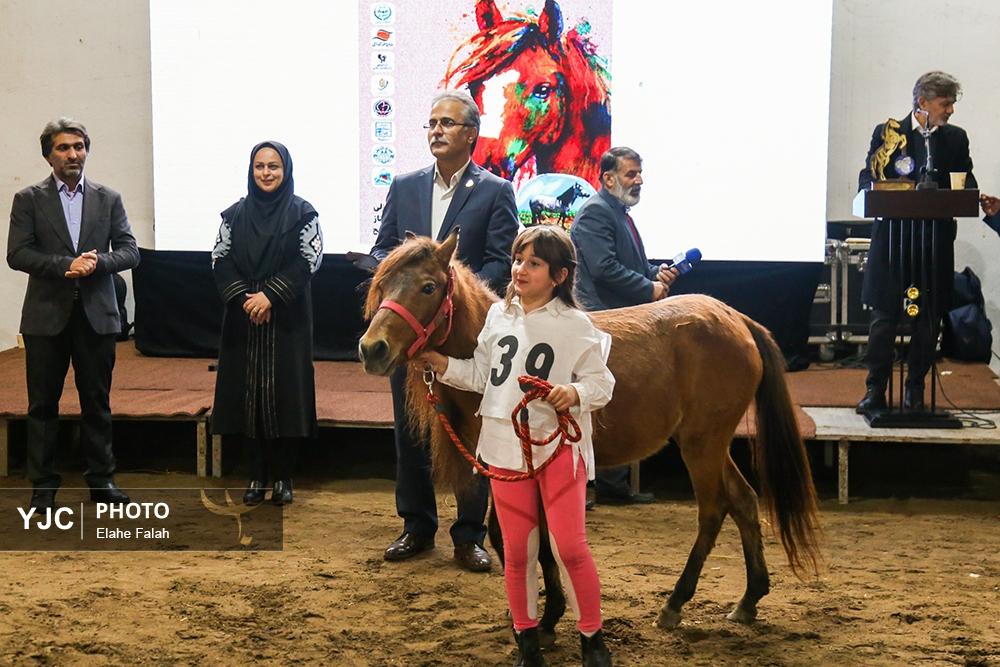 اسب نژاد کاسپین