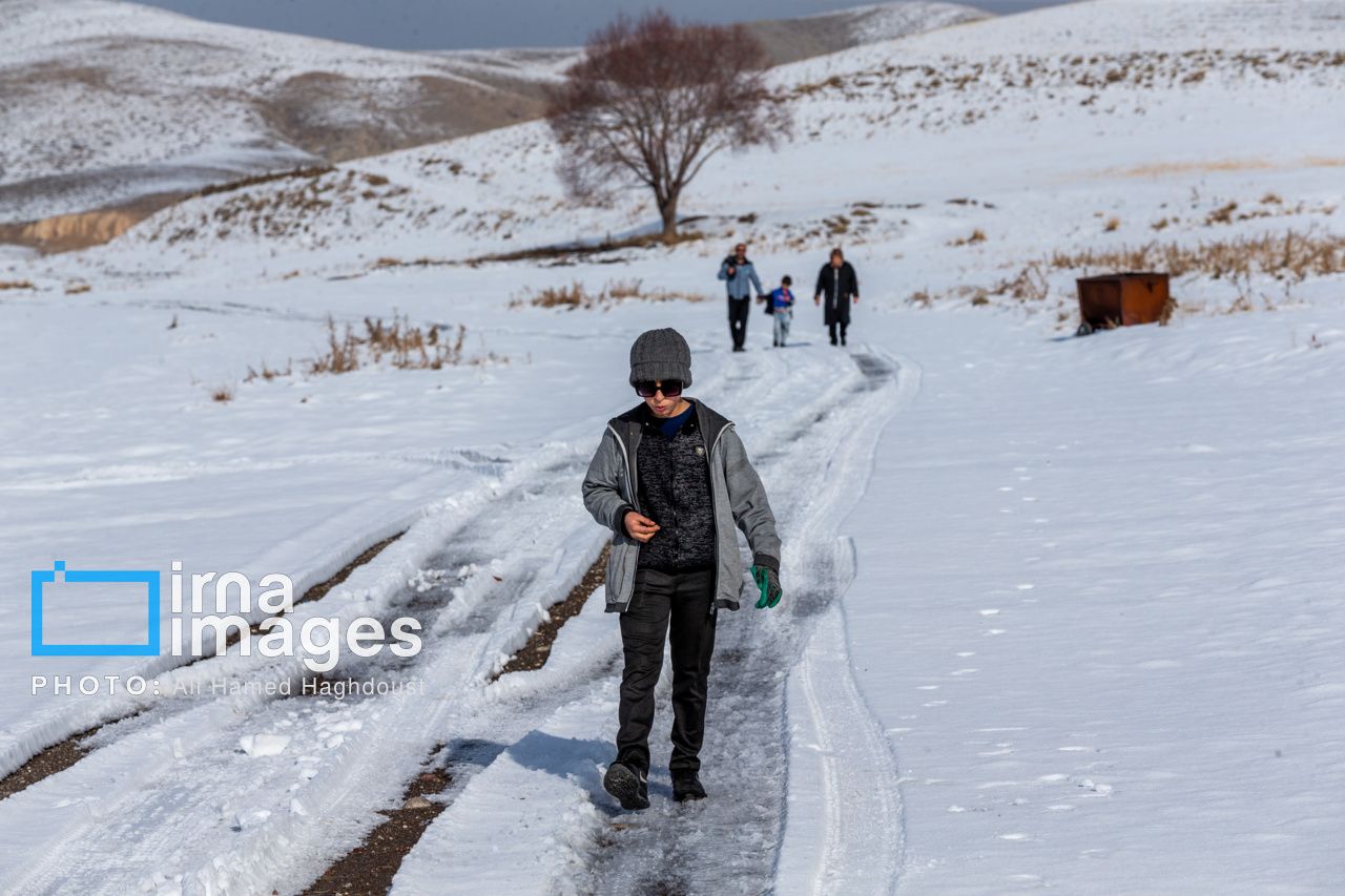 سهند سپیدپوش